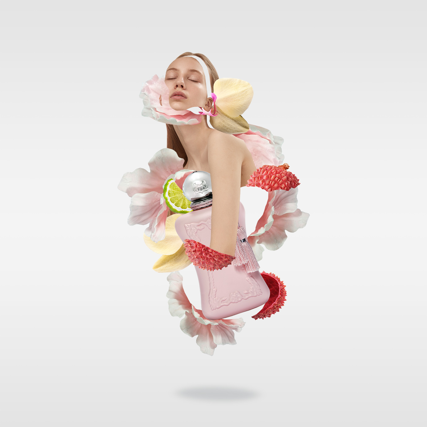 Rafafans / Art & Creative direction