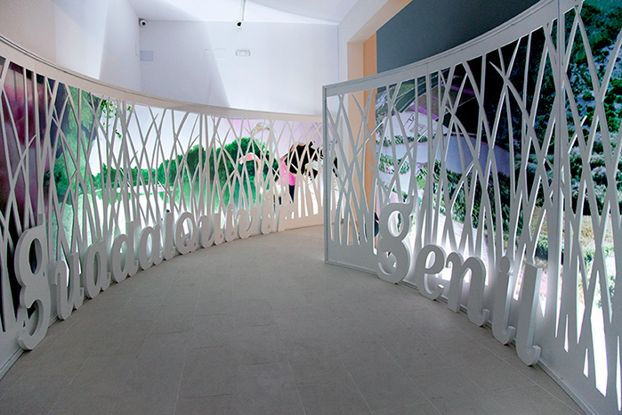 Rafafans / Art & Creative direction