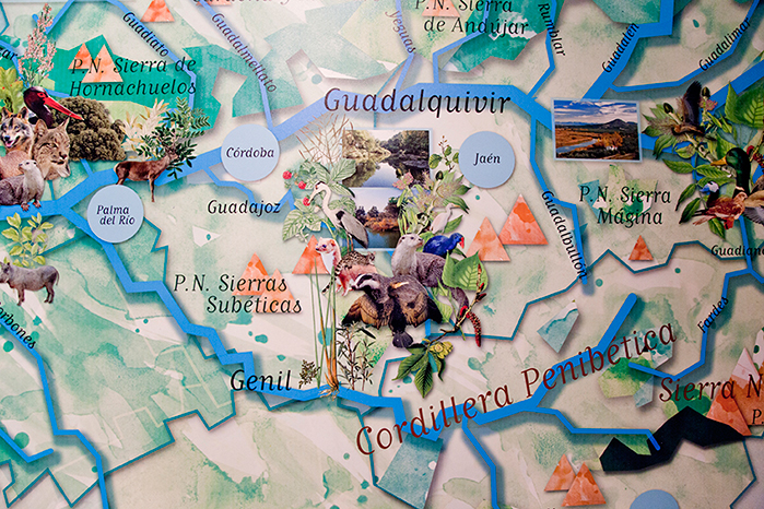 Rafafans / Art & Creative direction