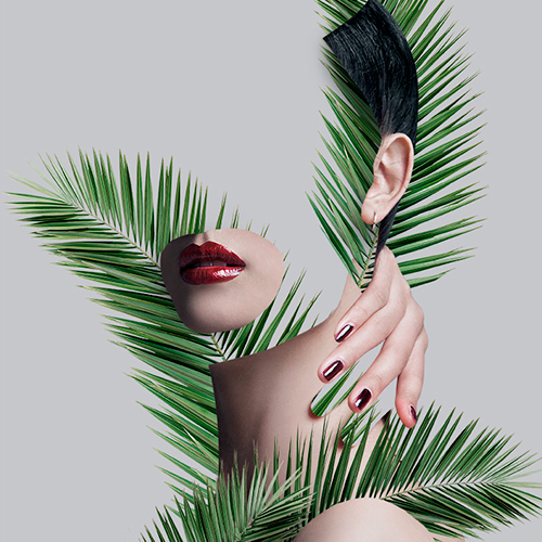 Rafafans / Art & Creative direction