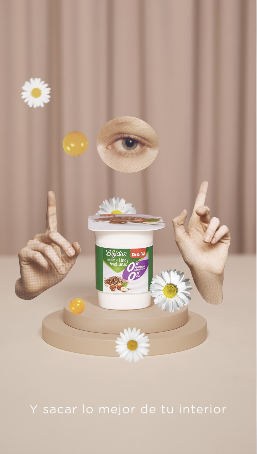 Rafafans / Art & Creative direction