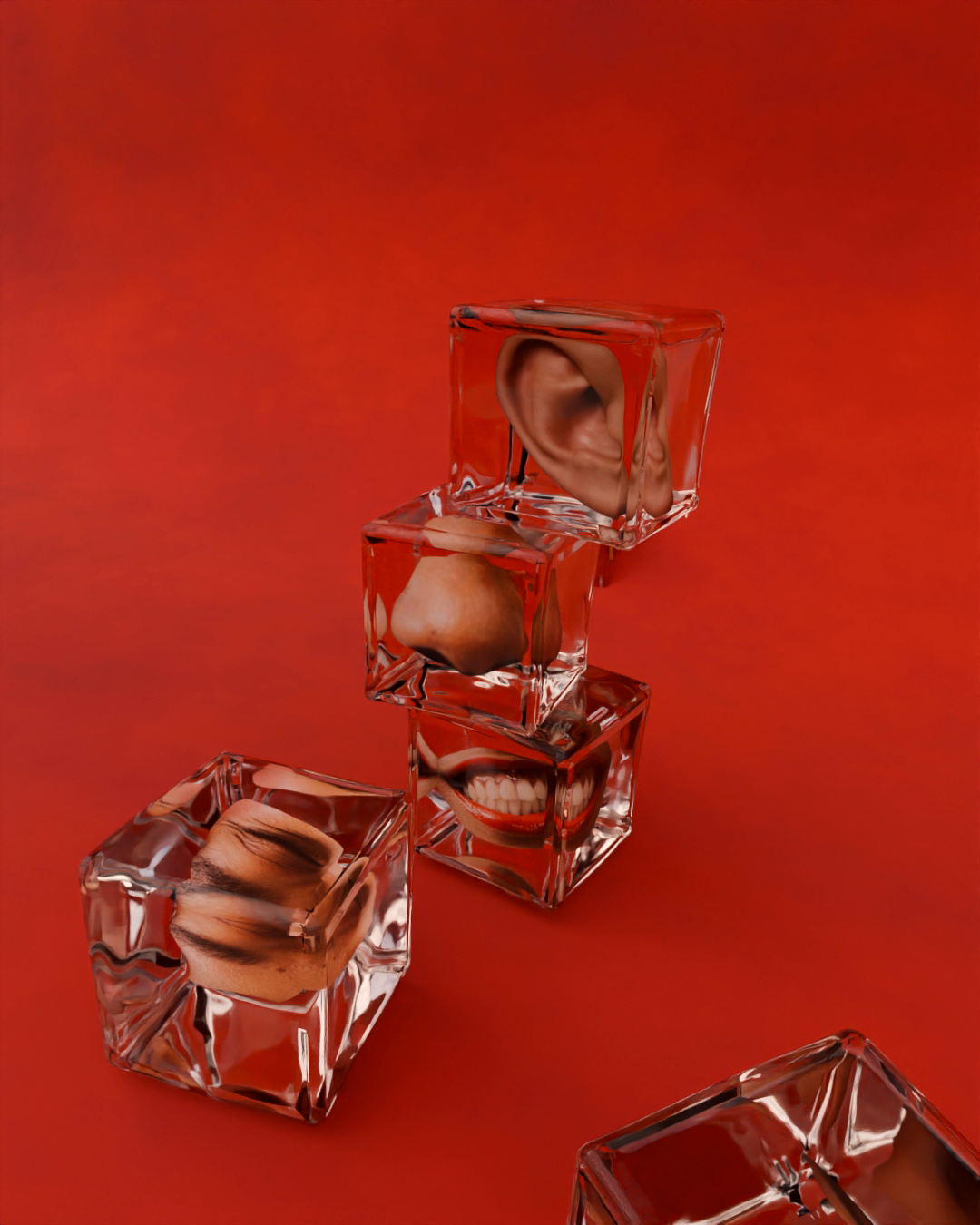 Rafafans / Art & Creative direction