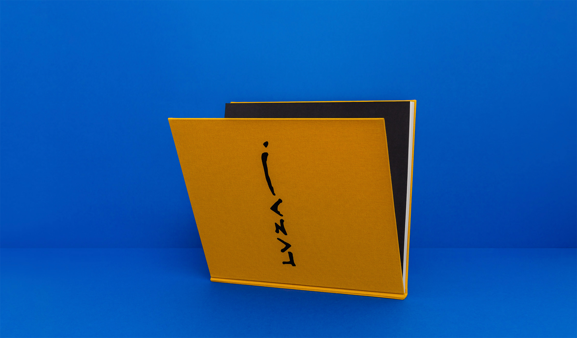 Rafafans / Art & Creative direction