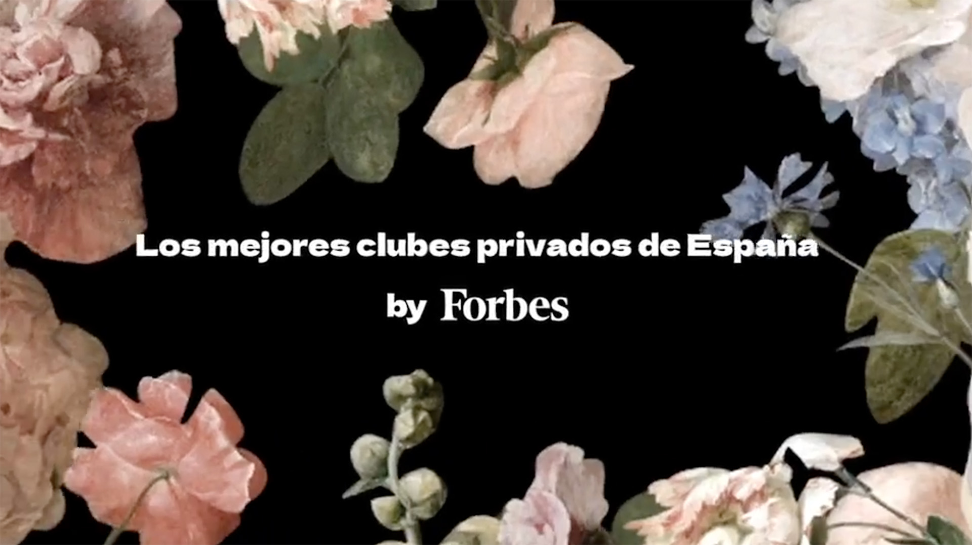 Rafafans / Art & Creative direction