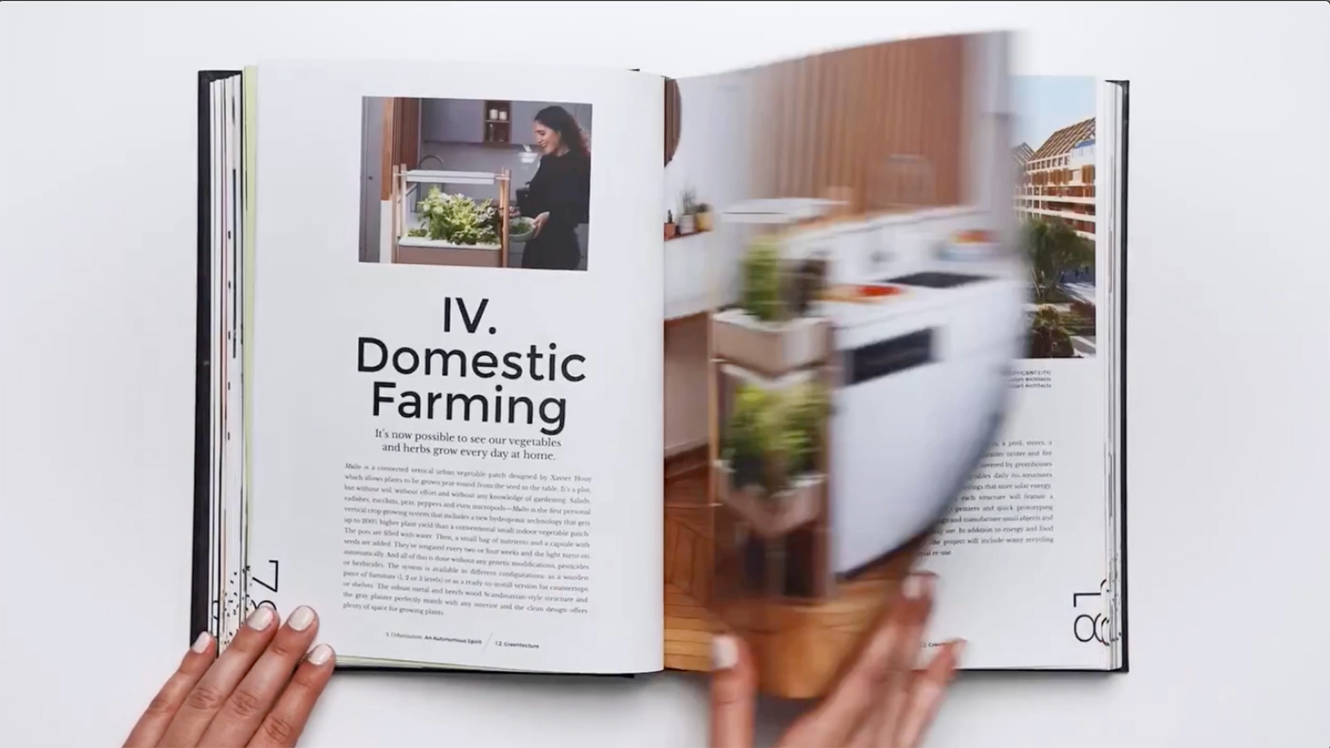 Rafafans / Art & Creative direction