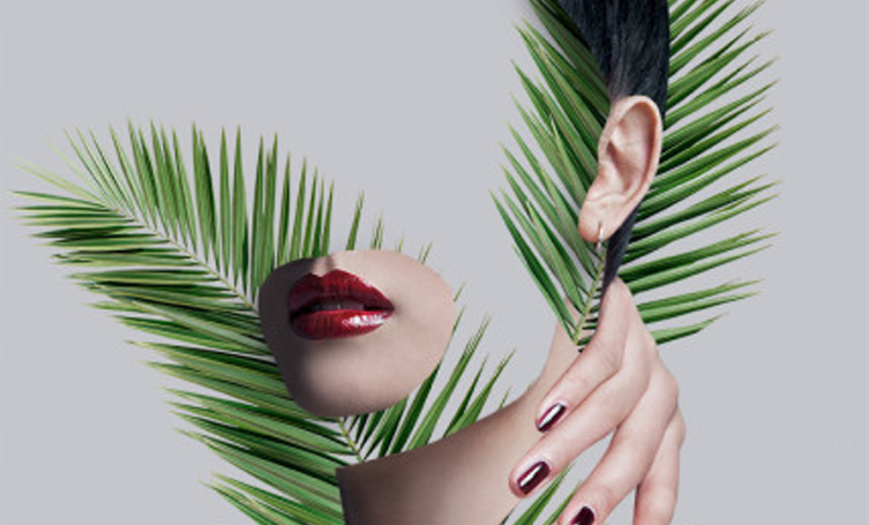 Rafafans / Art & Creative direction