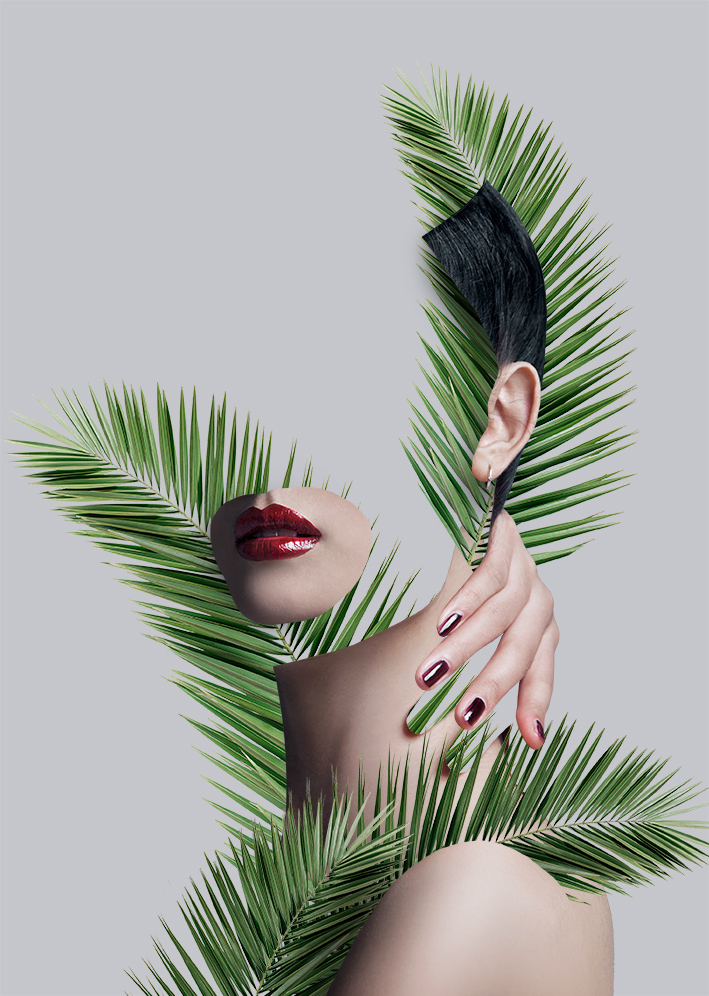 Rafafans / Art & Creative direction